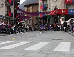 Gara delle Bighe 2011-7789